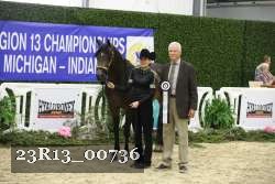 23R13_00736 thumbnail