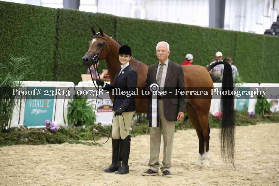 Proof Number 23R13_00738