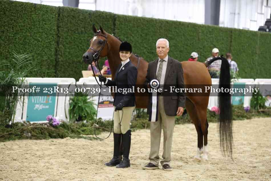 Proof Number 23R13_00739