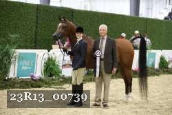 23R13_00739 thumbnail