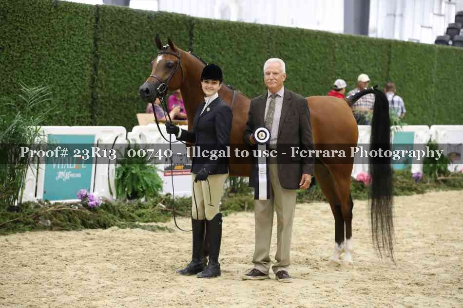 Proof Number 23R13_00740