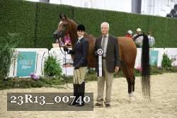 23R13_00740 thumbnail