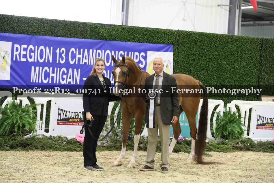 Proof Number 23R13_00741