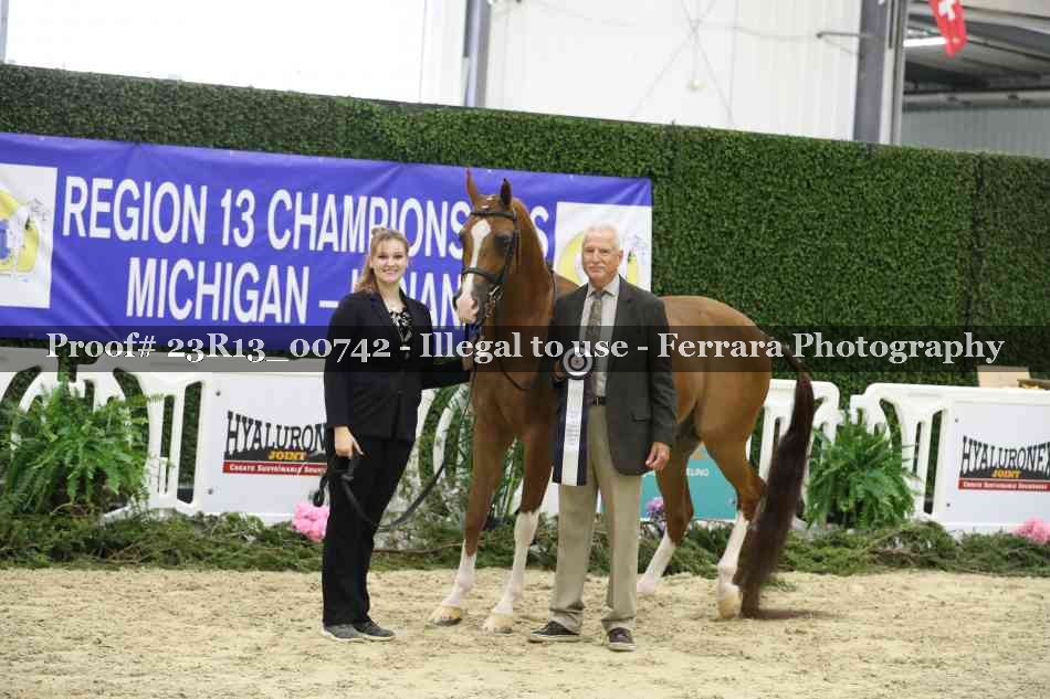 Proof Number 23R13_00742
