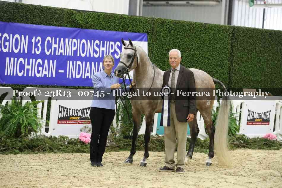 Proof Number 23R13_00745