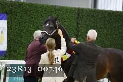 23R13_00746 thumbnail