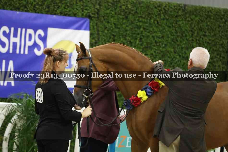 Proof Number 23R13_00750