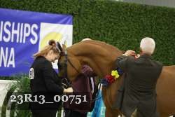 23R13_00751 thumbnail