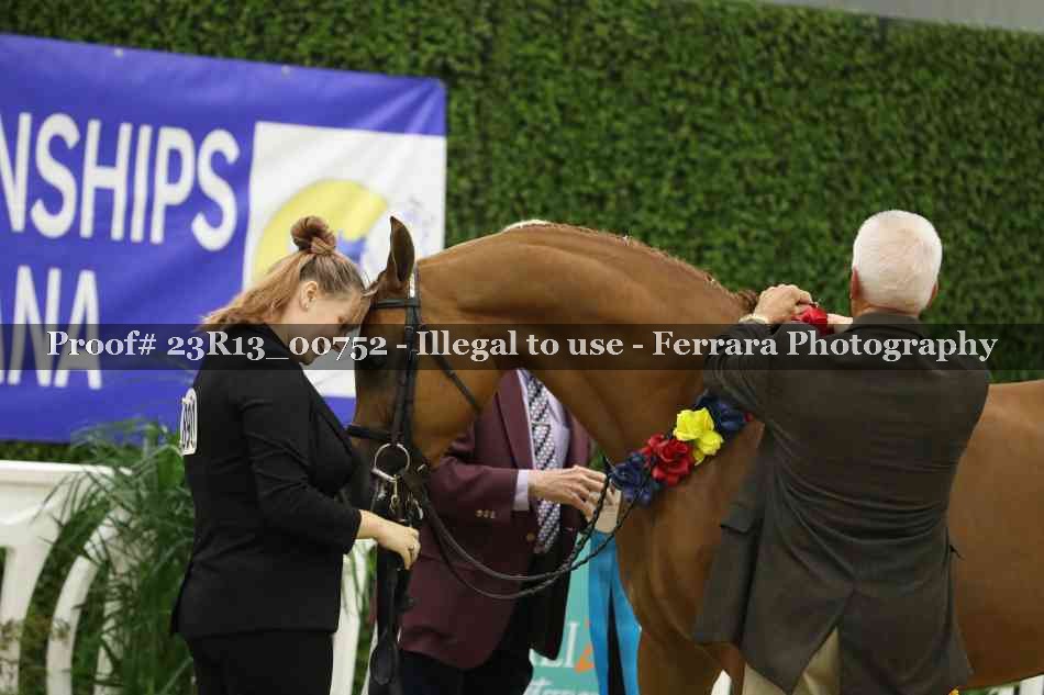 Proof Number 23R13_00752