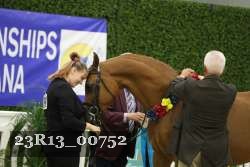 23R13_00752 thumbnail