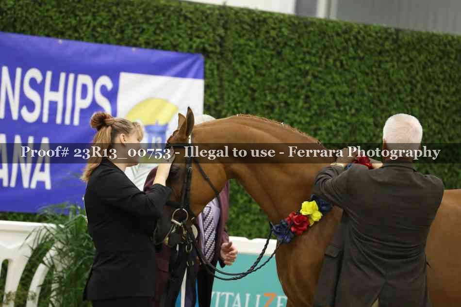 Proof Number 23R13_00753