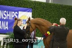 23R13_00753 thumbnail