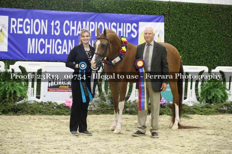Proof Number 23R13_00754