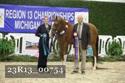 23R13_00754 thumbnail