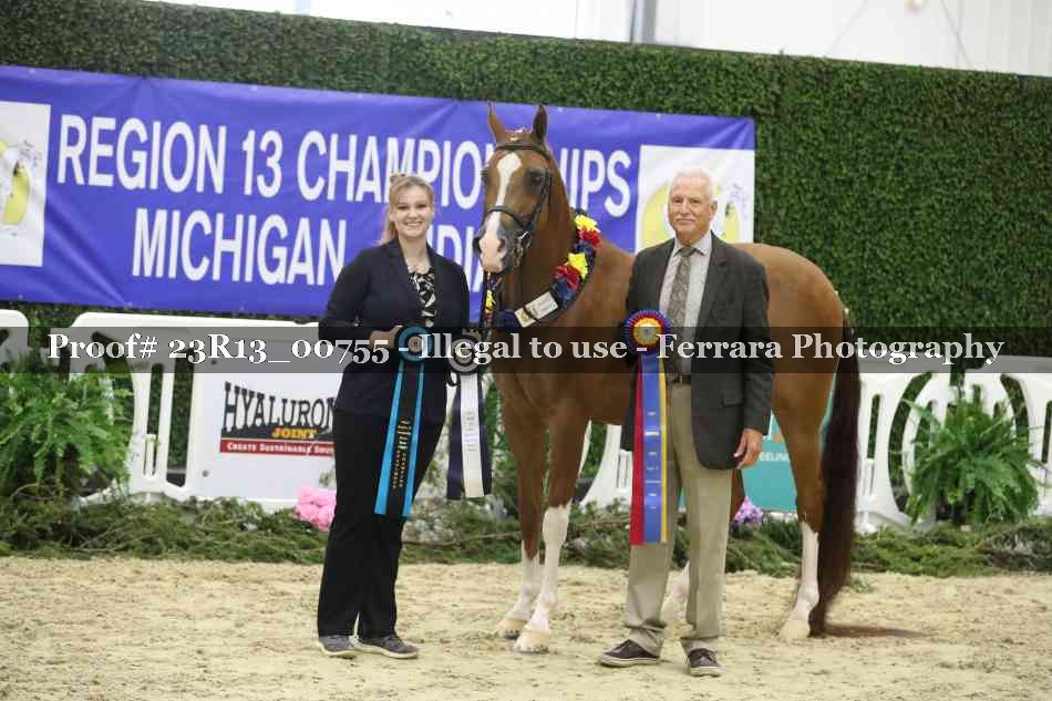 Proof Number 23R13_00755