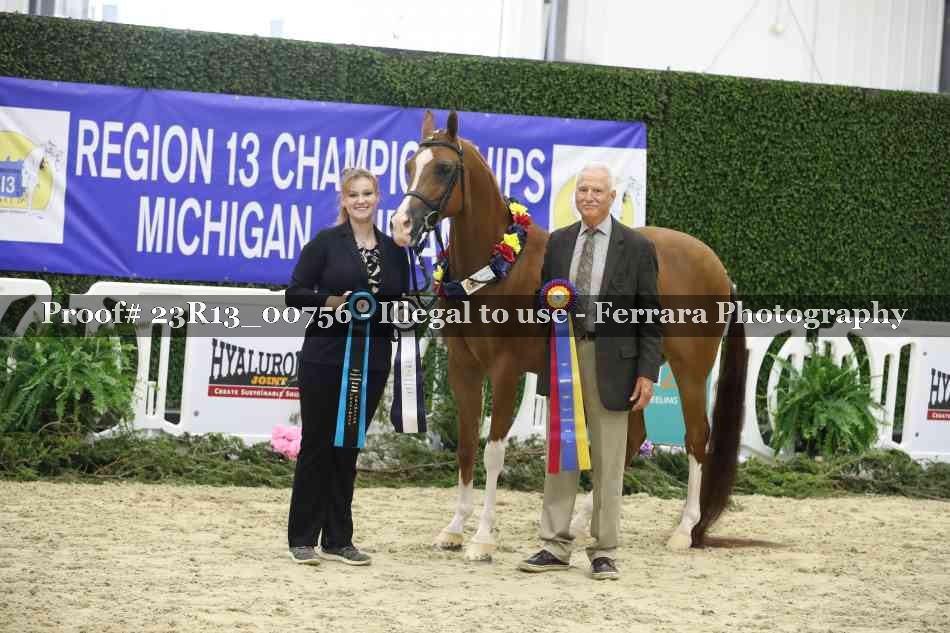 Proof Number 23R13_00756