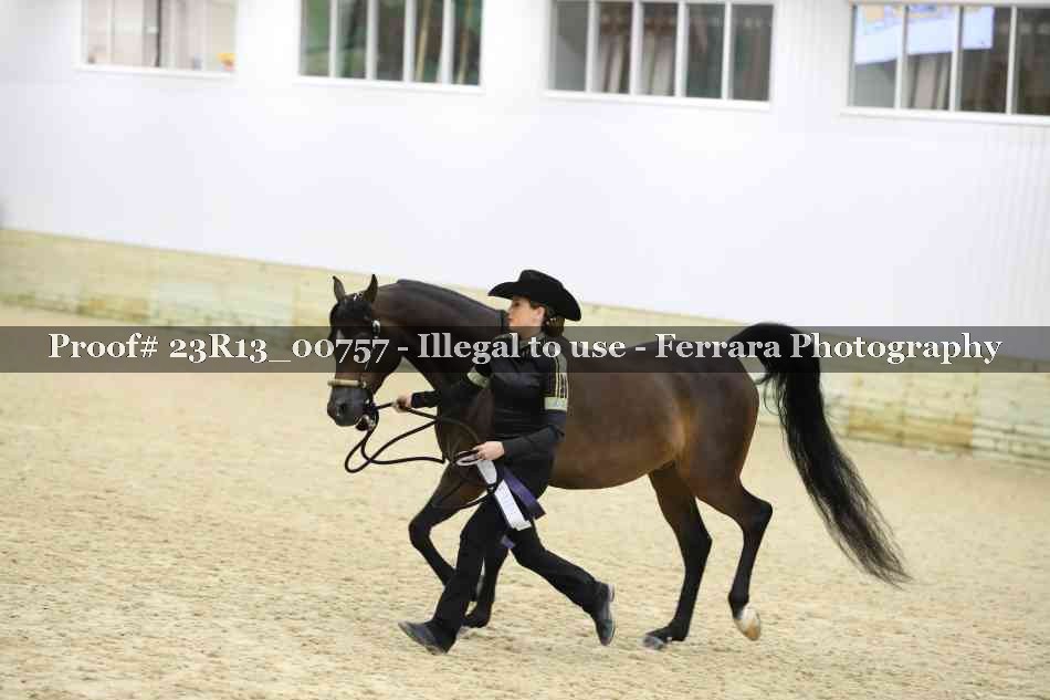 Proof Number 23R13_00757