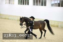 23R13_00757 thumbnail
