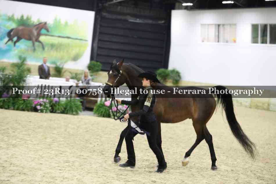 Proof Number 23R13_00758