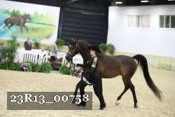 23R13_00758 thumbnail