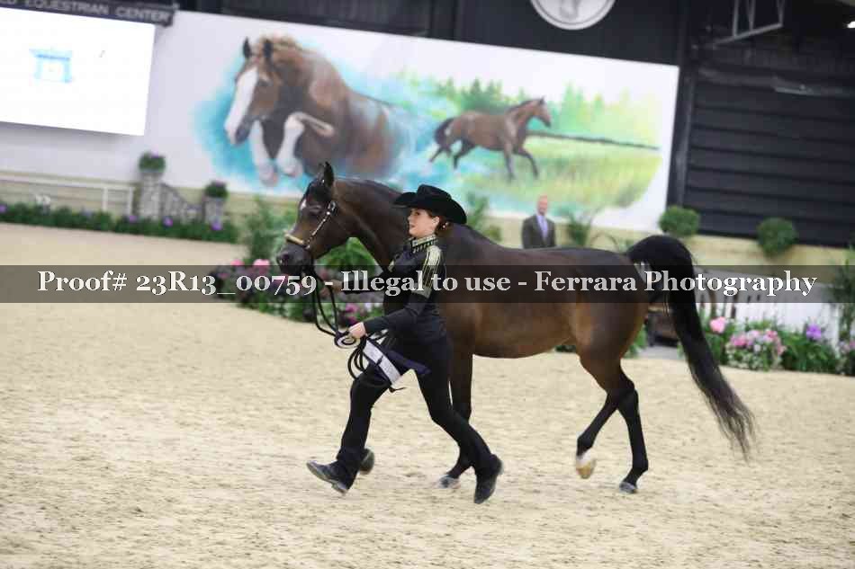 Proof Number 23R13_00759