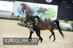 23R13_00759 thumbnail