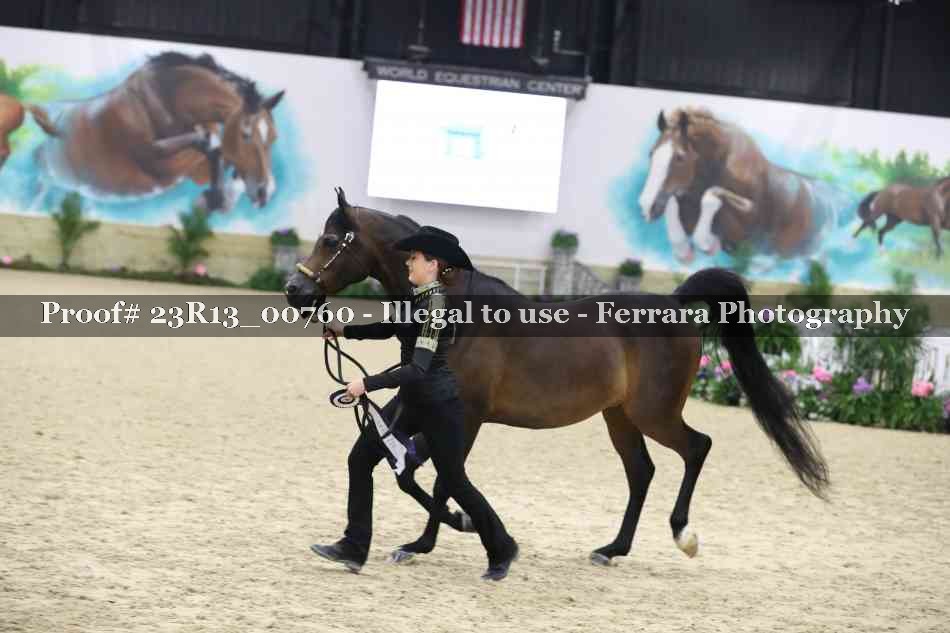 Proof Number 23R13_00760