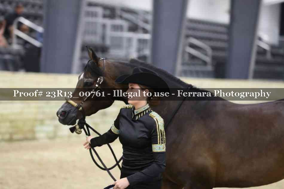 Proof Number 23R13_00761