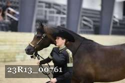 23R13_00761 thumbnail