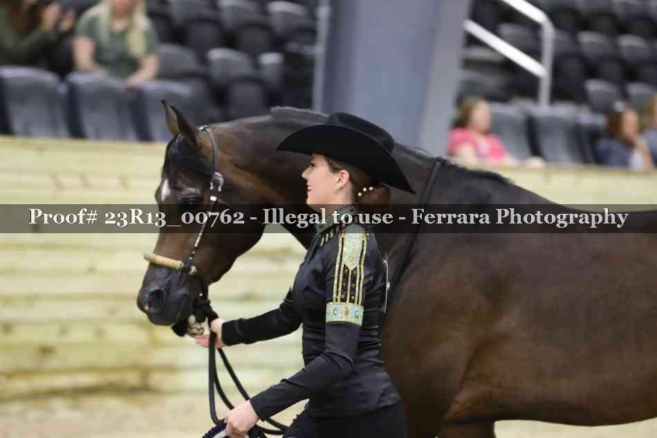 Proof Number 23R13_00762