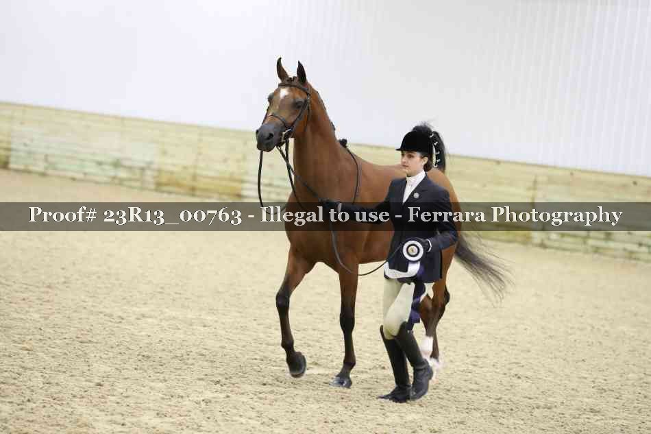 Proof Number 23R13_00763