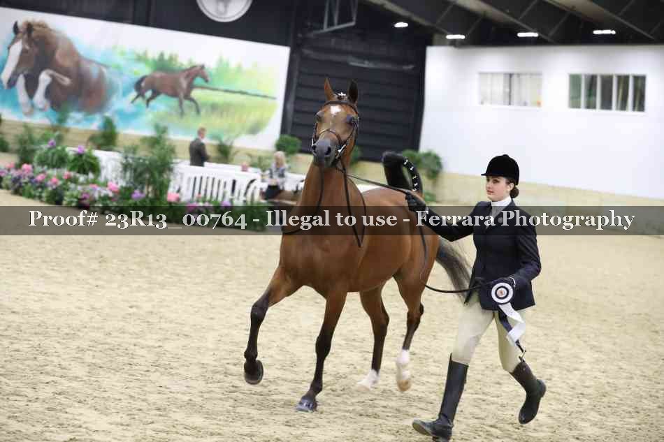 Proof Number 23R13_00764