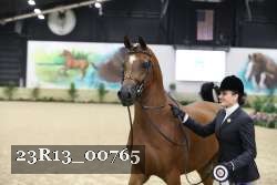 23R13_00765 thumbnail
