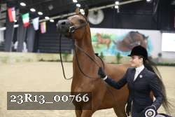 23R13_00766 thumbnail