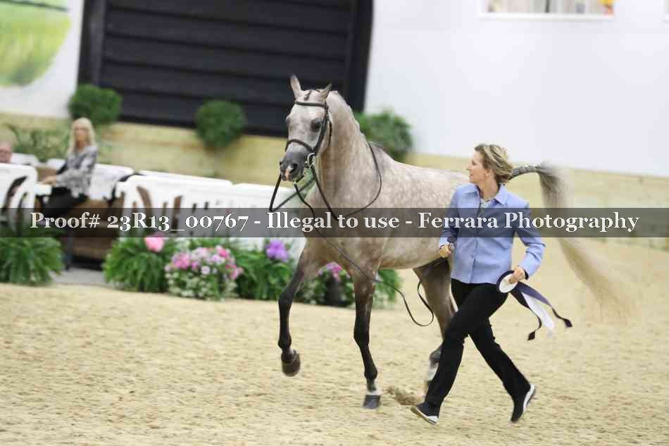 Proof Number 23R13_00767