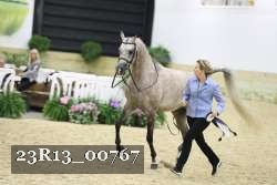 23R13_00767 thumbnail