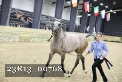 23R13_00768 thumbnail