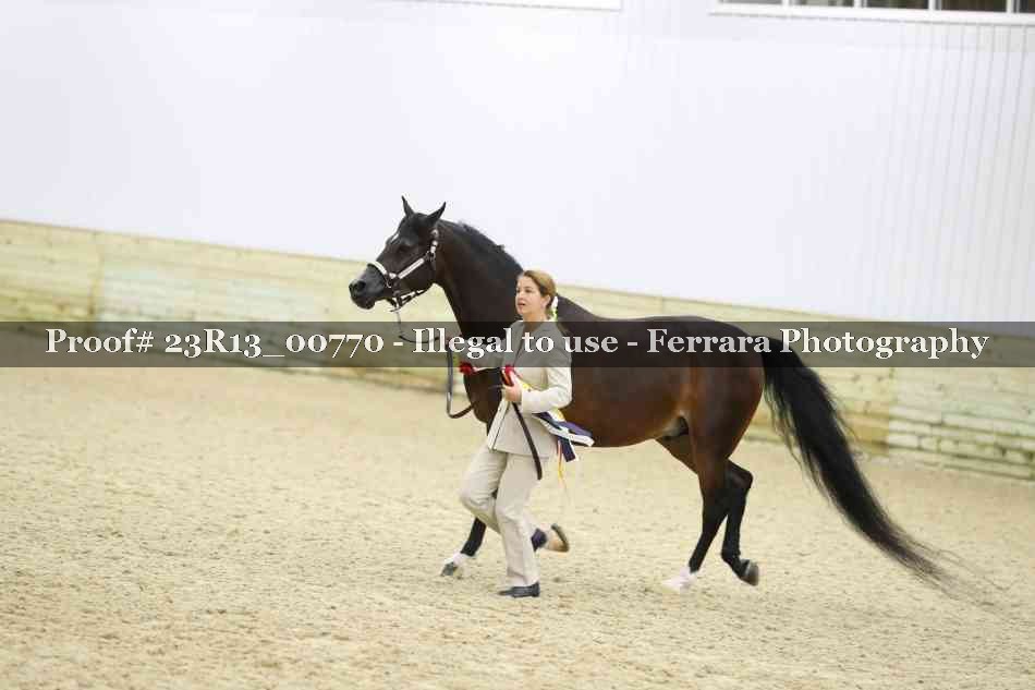 Proof Number 23R13_00770