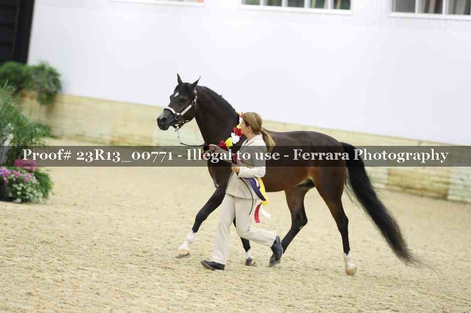 Proof Number 23R13_00771