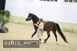 23R13_00771 thumbnail