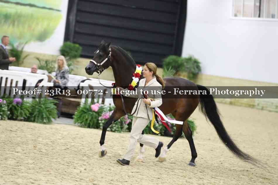 Proof Number 23R13_00772