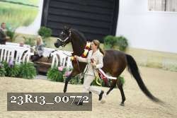 23R13_00772 thumbnail
