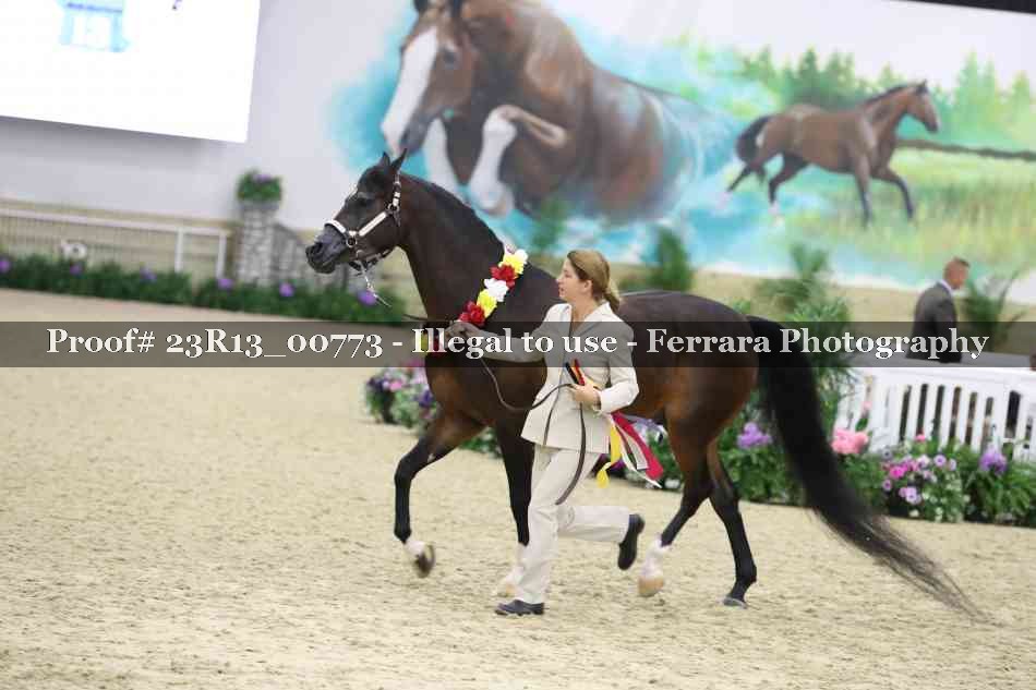 Proof Number 23R13_00773