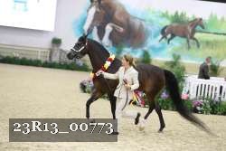 23R13_00773 thumbnail
