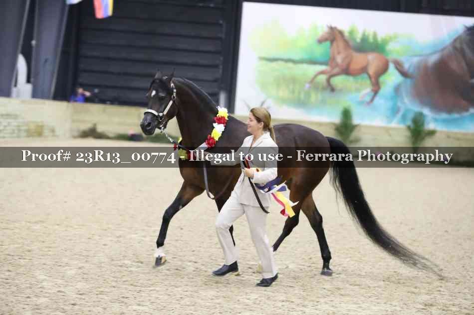 Proof Number 23R13_00774