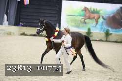 23R13_00774 thumbnail