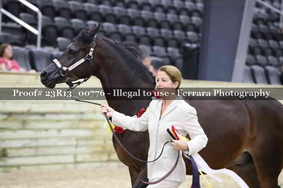 Proof Number 23R13_00776