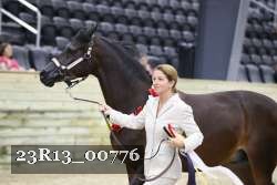 23R13_00776 thumbnail