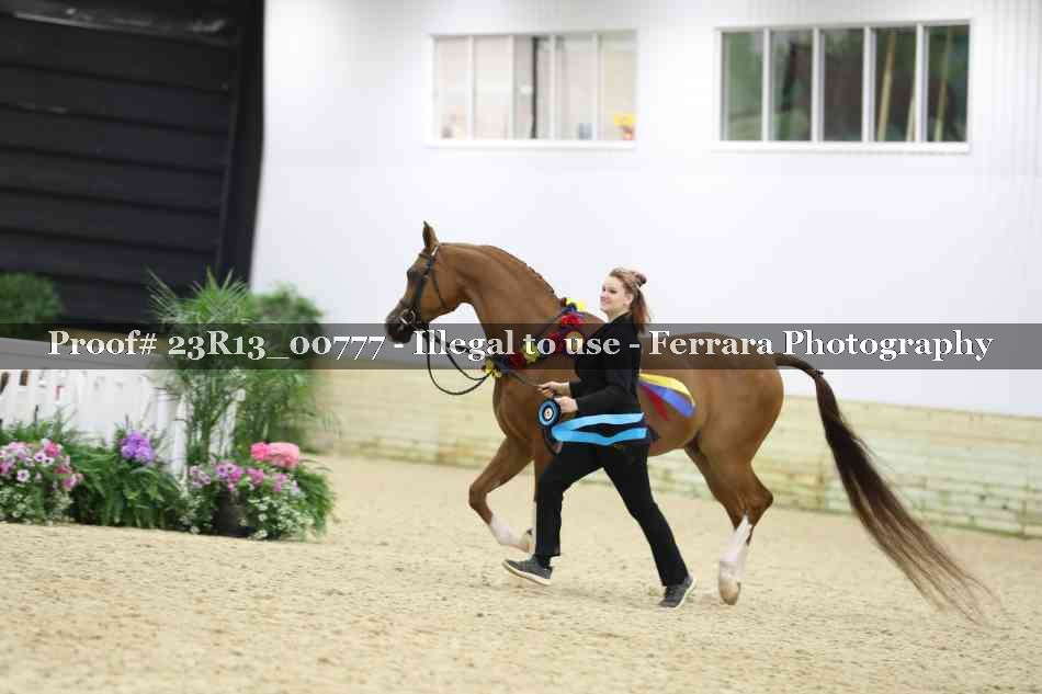 Proof Number 23R13_00777