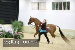 23R13_00777 thumbnail